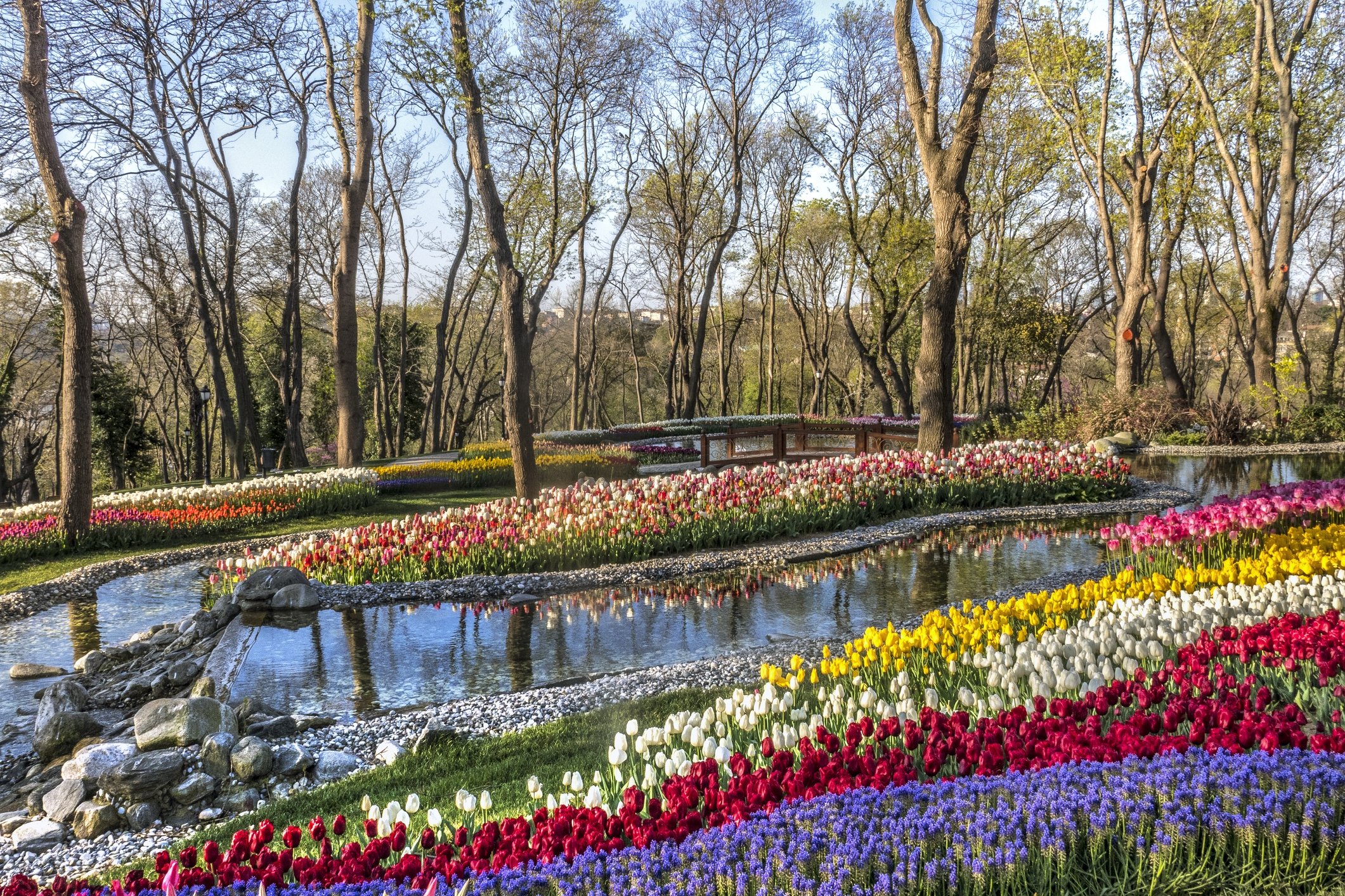 A view of Emirgan Park, a historical urban park adorned with tulips at the Emirgan neighborhood in the Sarıyer district of Istanbul, Turkey.
