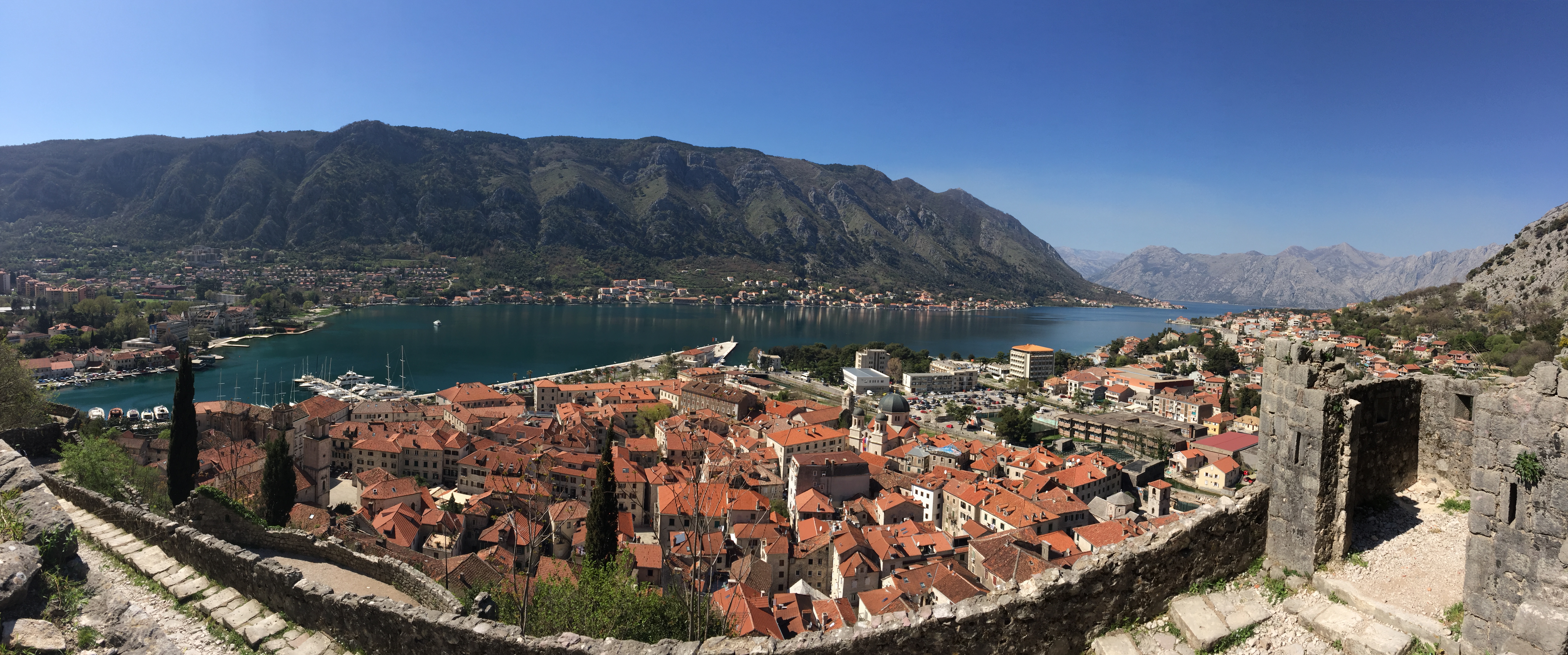 Kotor